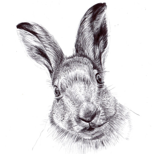 The Hare Stare - SOLD